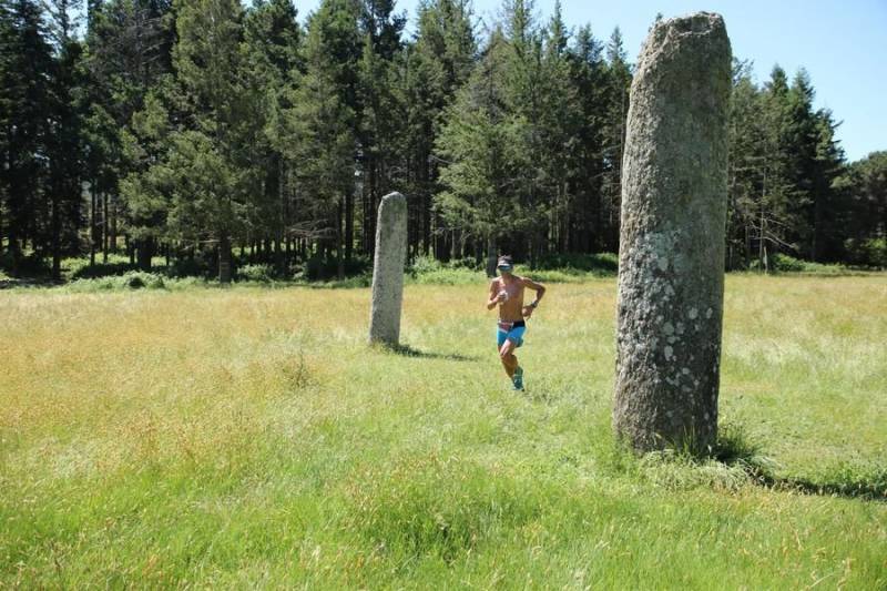 Trail au milieu du Massif des Maures entre les menhirs du plateau Lambert à Collobrières